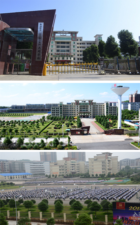 2016091945075005.jpg 2016091945075005.jpg